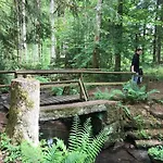 Hotel Landgasthof Lowen Wildberg (Baden-Wurttemberg)