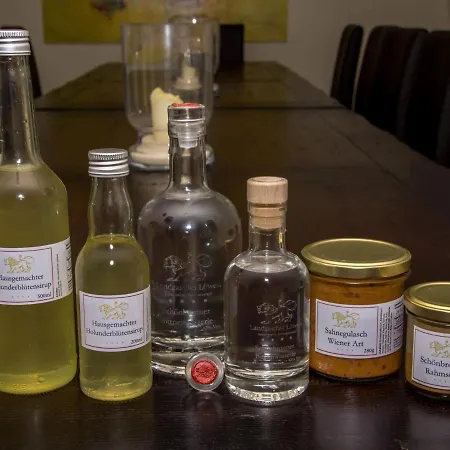 Landgasthof Lowen 4* Wildberg (Baden-Wurttemberg)