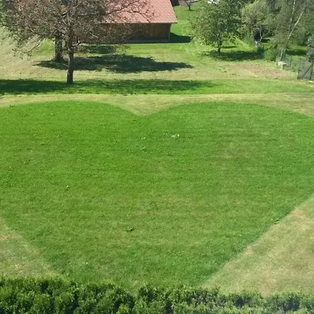 Landgasthof Lowen 4* Wildberg (Baden-Wurttemberg)