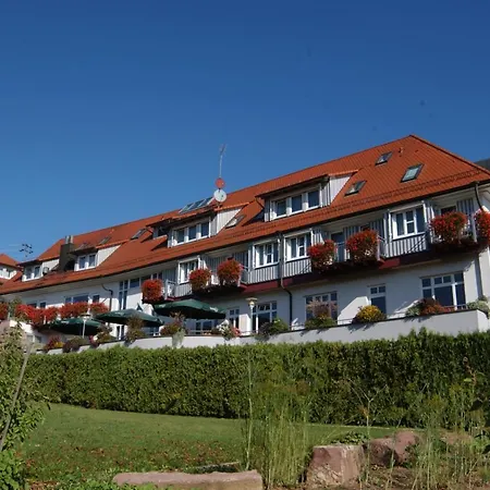 Landgasthof Lowen Hotel Wildberg (Baden-Wurttemberg)