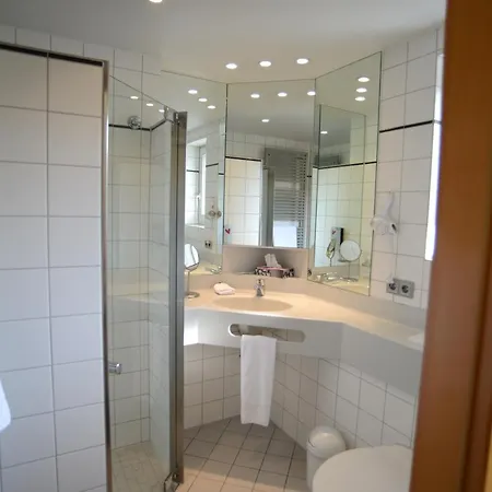 Landgasthof Lowen Hotel Wildberg (Baden-Wurttemberg)