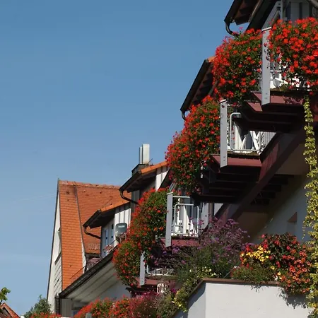 Hotel Landgasthof Lowen 4*