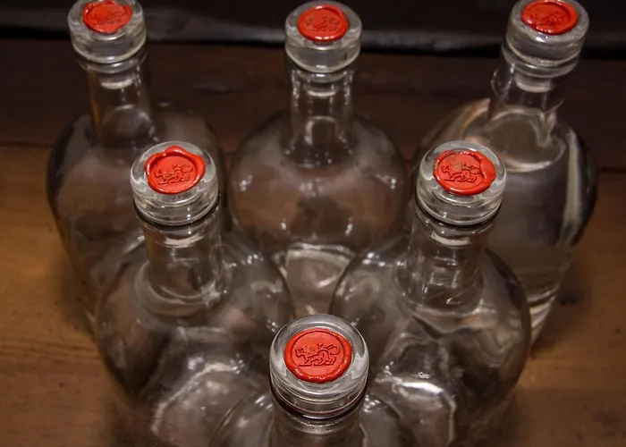 勒文兰德加斯托夫酒店 酒店 Wildberg (Baden-Wurttemberg)