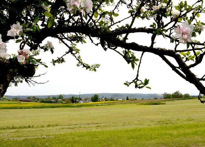 Szálloda Landgasthof Lowen 4*