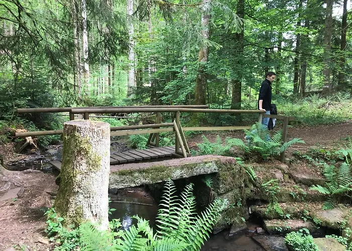 Szálloda Landgasthof Lowen Wildberg